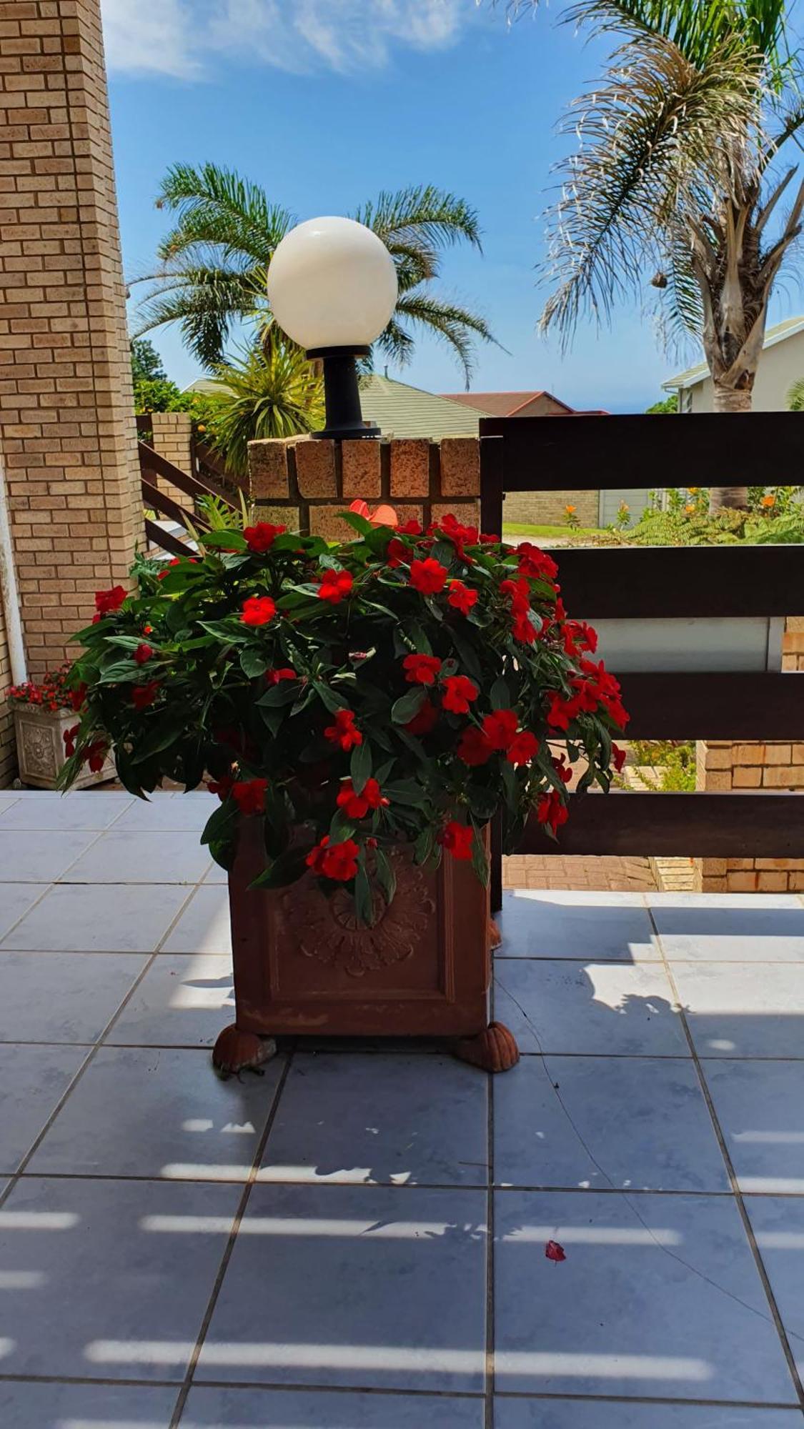 Villa Majestic For Exclusive Accommodation Port Alfred Luaran gambar